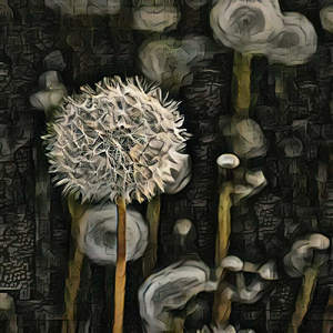 Backing Track & 8 Demo Questions