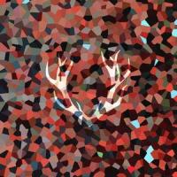 Untitled vol. 2_Eelis Keijama