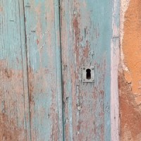 Brain Distorsion_The Chapter