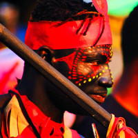 Through Hell And Back_Lionheart