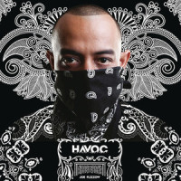 Havoc_Martin R