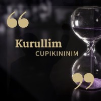 A negative orchestra_A Negative Regenerative Pheasant