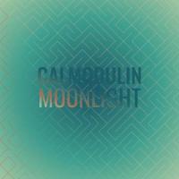 Where We're You_Journey