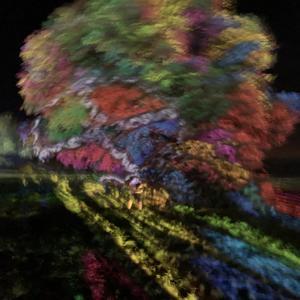 The Message From Dr. Light