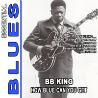 You Done Lost Your Good Thing Now_B.B. King