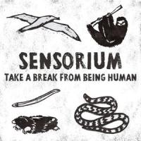 Sensorium_Omar Chouikha