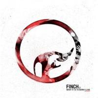 Stay With Me_Finch