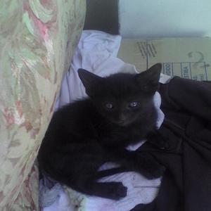 Mi Huracan Llevaba Tu Nombre