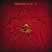 Silver_Machine Head