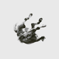 To The Wolves_The World We Knew