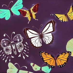 Butterfly (3)