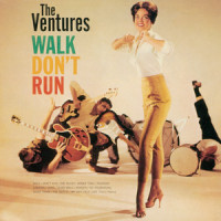 Night Train_The Ventures