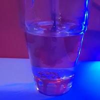 The Evil Monkey_Face Of Death