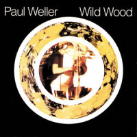 Foot Of The Mountain_Paul Weller