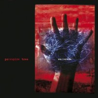 Stop Swimming_Porcupine Tree