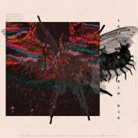 Dead In The Ditches_Strangers To Fiction
