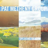 A Place In The World_Pat Metheny