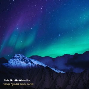 Gemini the Winter Night