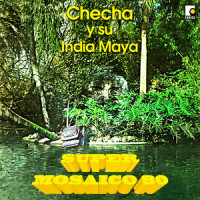 Tsumi No Nagame_Sons Of All Pussys