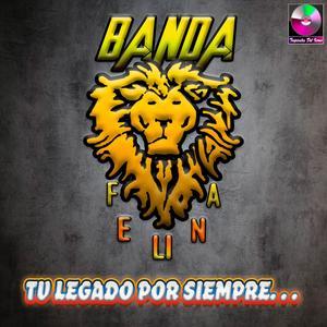 Mi Placer Por Tu Agonia