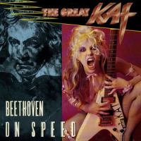 5th Symphony (Metal Cover)_Ludwig Van Beethoven