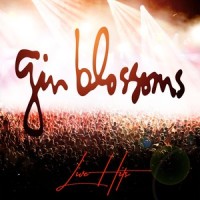 Till I Hear It From You_Gin Blossoms