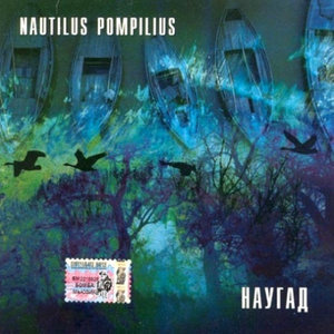 Черные Птицы