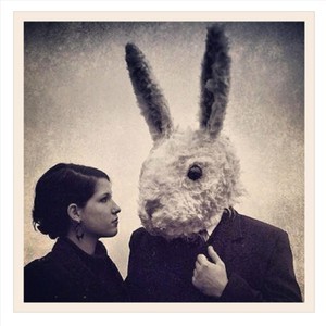 Flores Sobre Las Piedras