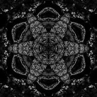 Whoring Streets_Scars On Broadway