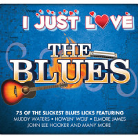 If I Had Possession_Robert Johnson