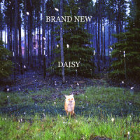 Daisy_Brand New