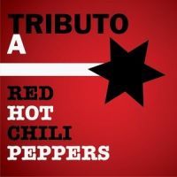 Otherside_Red Hot Chilli Peppers