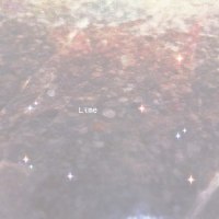 Sleepless Night_Masaaki Kishibe