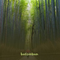 Samba pa ti - lección_Lorenzo - Santana