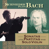 Violin Solo No 1 In B Minor_Johann Sebastian Bach