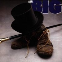 Blame It On My Youth_Mr. Big