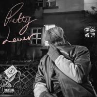 Janelle_Pretty Little Fake