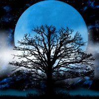 Moonlight Sonata_Ludwig Van Beethoven