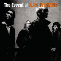 Got Me Wrong (Unplugged)_Alice in Chains