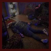 Calvin_The Jon Spencer Blues Explosion