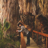 Desolation_Beneath The Optimist