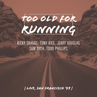 Interlude To Pig_Dave Matthews