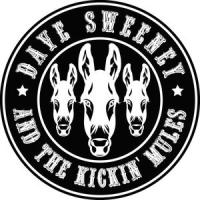 Little Thing_Dave Matthews