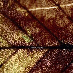 Respect For The Dead Man