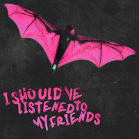 I Should've Listened To My Friends_Magnolia Park