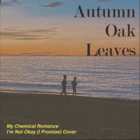 I'm Not Okay (I Promise)_My Chemical Romance