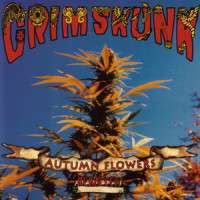 Autumn Flowers_Grim Skunk