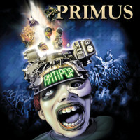 Lacquer Head_Primus