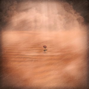 I'll Catch You If You Fall