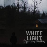 Octopus dilemma_A Negative Regenerative Pheasant